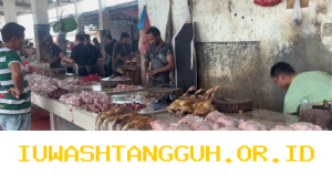 Harga Ayam Broiler di Kota Banda Aceh Meningkat 5.000 Rupiah per Ekor pada 2026