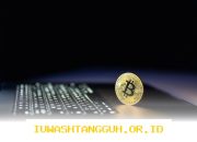Harga Bitcoin Tetap di Kisaran 71.000 USD Meski Diplomasi AS-Iran Tidak Mempan 2026