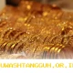 Harga Emas Perhiasan 14 April 2026 Turun Signifikan, Capai Level Termurah Rp453.000 per Gram di Pasar Indonesia