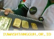 Harga Emas UBS dan Galeri 24 di Pegadaian Naik Signifikan pada 2026, Simak Perbandingan Terbarunya