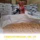 Harga Kedelai 2026 Stabil, Pemerintah Jamin Kelangsungan Produksi Tahu Tempe Nasional