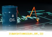 Harga Minyak Global Kembali Anjlok, Brent Diperdagangkan di USD101 per Barel
