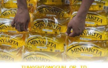 Harga Minyak Goreng Diprediksi Tetap Stabil Hingga 2026, Bulog Jamin Ketersediaan Melimpah