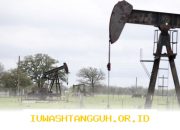 Harga Minyak Mentah Dunia Anjlok Jadi USD80 Per Barel Di Tengah Gejolak Pasar Global 2026