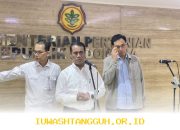 Harga Minyakita Akan Dipantau Ketat Sampai 2026 Agar Izin Produsen Tak Dicabut Mendadak