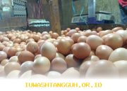 Harga Sembako Terkini 2026: Telur Ayam Capai Rp32.000/Kg dan Bawang Merah Naik Jadi Rp45.950/Kg di Pasar Modern