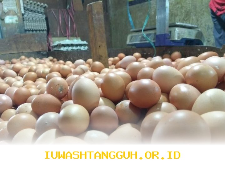 Harga Sembako Terkini 2026: Telur Ayam Capai Rp32.000/Kg dan Bawang Merah Naik Jadi Rp45.950/Kg di Pasar Modern