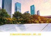 IIF Dorong Akselerasi Pendanaan Infrastruktur Ramah Lingkungan Hingga 2026