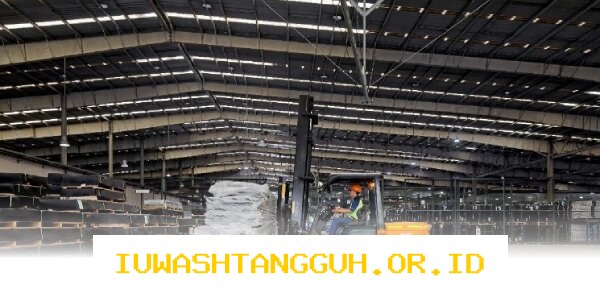 IMPC Catat Laba Bersih Sebesar Rp620 Miliar Sepanjang Tahun 2025