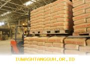 Indocement dan Mondi Bentuk Joint Venture Terbaru 2026 Produksi Kantong Semen Modern