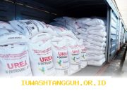Indonesia Ekspor 250.000 Ton Urea ke Australia pada 2026 Ini Dampaknya untuk Perekonomian Lokal