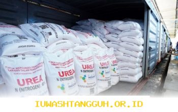 Indonesia Ekspor 250.000 Ton Urea ke Australia pada 2026 Ini Dampaknya untuk Perekonomian Lokal