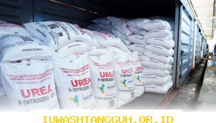 Indonesia Ekspor 250.000 Ton Urea ke Australia pada 2026 Ini Dampaknya untuk Perekonomian Lokal