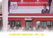 Informasi Rinci Mengenai 5 Tahapan Seleksi Terbaru Kopdes Merah Putih Tahun 2026 Ini