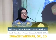 Ingin Lulus CPNS 2026? Ini 15 Instansi dengan Peminat Sedikit dan Peluang Lolos Tinggi