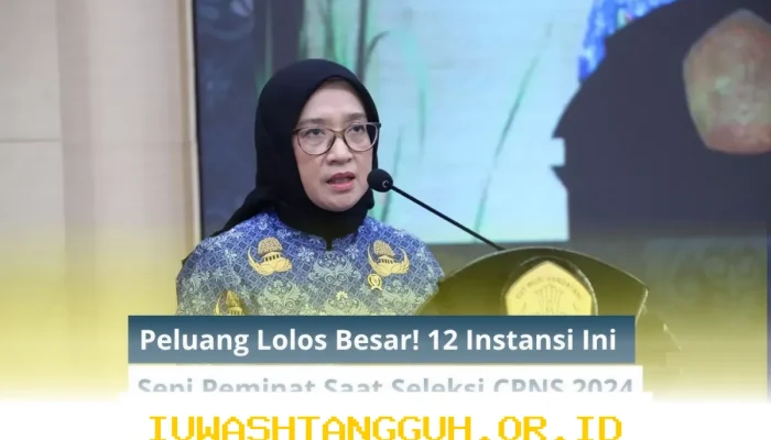 Ingin Lulus CPNS 2026? Ini 15 Instansi dengan Peminat Sedikit dan Peluang Lolos Tinggi