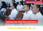Ini Dia 12 Instansi CPNS 2026 dengan Peminat Sedikit, Peluang Lolos Makin Terbuka Lebar