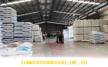 Inovasi Pakan Ayam Probiotik IPB Menuju Target 1 Kg dalam 30 Hari, Mentan Amran Akan Sampaikan ke Presiden 2026