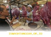 Inseminasi Buatan Dorong Swasembada Daging dan Susu Nasional 2026 dengan Teknologi Terkini