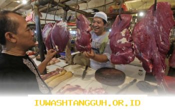 Inseminasi Buatan Dorong Swasembada Daging dan Susu Nasional 2026 dengan Teknologi Terkini
