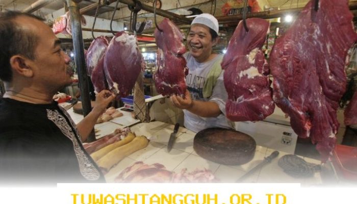 Inseminasi Buatan Dorong Swasembada Daging dan Susu Nasional 2026 dengan Teknologi Terkini