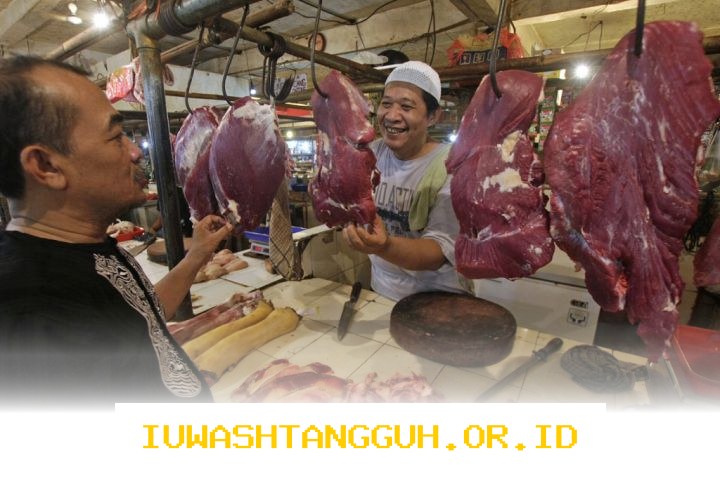 Inseminasi Buatan Dorong Swasembada Daging dan Susu Nasional 2026 dengan Teknologi Terkini