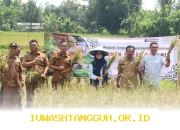 Jasindo Optimalkan Proses Cairkan Klaim AUTP 2026 dengan Sistem Terbaru