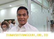 Kadin Optimis Kerja Sama Indonesia-Korea Selatan Senilai 173 Triliun Dongkrak Pendapatan Devisa 2026