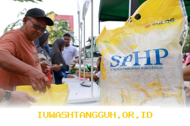 Kemasan Beras Bulog Tetap Aman Meski Biji Plastik Langka di Tahun 2026 Ini Rinciannya