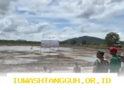Kementan Dorong Gerakan Tanam Serentak di 17 Provinsi Hadapi Dampak El Nino 2026