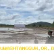 Kementan Dorong Gerakan Tanam Serentak di 17 Provinsi Hadapi Dampak El Nino 2026