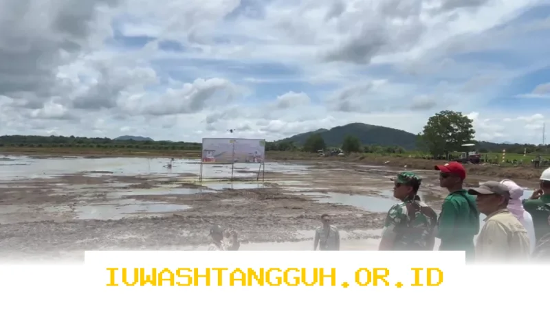 Kementan Dorong Gerakan Tanam Serentak di 17 Provinsi Hadapi Dampak El Nino 2026