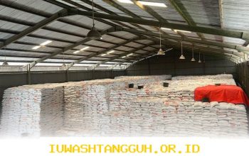 Ketahanan Pangan Nasional Terjaga Kuat Berkat Produksi Dalam Negeri yang Capai 90 Persen di Tahun 2026 Ini