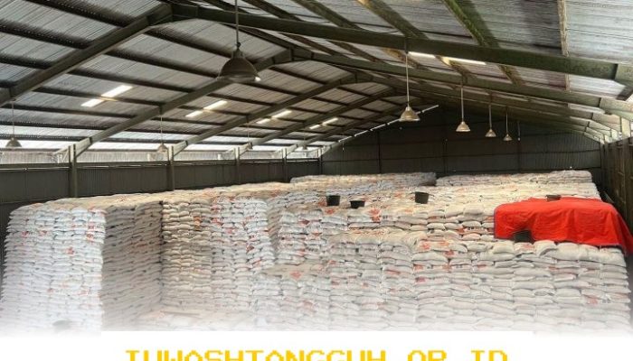 Ketahanan Pangan Nasional Terjaga Kuat Berkat Produksi Dalam Negeri yang Capai 90 Persen di Tahun 2026 Ini