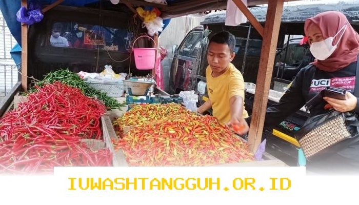 Ketersediaan Pangan di Kalimantan Tengah Cukup untuk 1,5 Juta Penduduk Hingga 2026