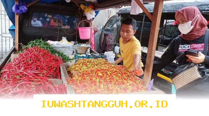 Ketersediaan Pangan di Kalimantan Tengah Cukup untuk 1,5 Juta Penduduk Hingga 2026