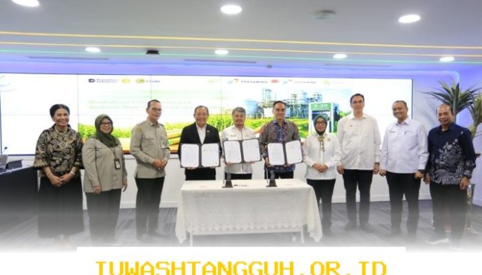 Kolaborasi PTPN Pertamina dan Medco Percepat Produksi Bioetanol untuk Target E20 di 2026