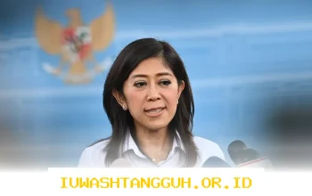 Komdigi Pastikan YouTube, Facebook, dan Instagram Tak Ingin Terapkan PP Tunas