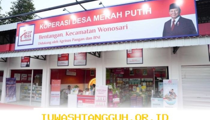 Koperasi Desa Merah Putih Bagi 97 Persen Keuntungan kepada Anggota Tahun 2026
