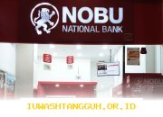 Kredit Konsumer Dorong Kinerja Bank Nobu di Tahun 2026