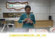 Laba Hana Bank Naik 17,63 Persen, Ini Faktor Penopang Kinerja Positif di Tahun 2026