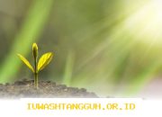 Langkah Strategis PalmCo untuk Memperkuat Implementasi ESG Sepanjang Tahun 2026 Mendatang