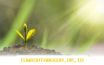 Langkah Strategis PalmCo untuk Memperkuat Implementasi ESG Sepanjang Tahun 2026 Mendatang