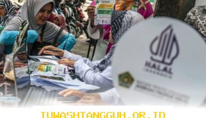 Lebih dari 1.300 UMKM Raih Sertifikasi Halal pada Semester Pertama 2026