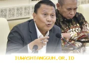 Mardani Desak Pemerintah Daerah Siapkan Langkah Jaga ASN dari Risiko PHK PPPK 2026