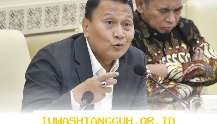 Mardani Desak Pemerintah Daerah Siapkan Langkah Jaga ASN dari Risiko PHK PPPK 2026