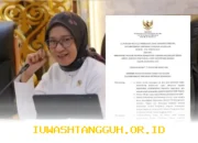 Menpan RB Terbitkan SE CPNS 2026 Perbedaan Persyaratan Lamaran antara Lulusan SMA dan S1