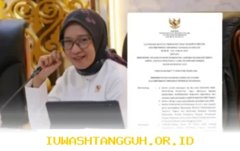Menpan RB Terbitkan SE CPNS 2026 Perbedaan Persyaratan Lamaran antara Lulusan SMA dan S1