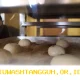 Nilai Aset Industri Penjaminan Tembus Rp 47,52 Triliun pada 2026 Meski Imbal Jasa Mengalami Penurunan