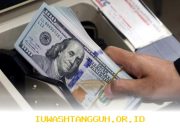 Nilai Dolar Amerika Serikat Turun 2,5% pada 2026 karena Gejolak Ekonomi Global dan Kebijakan Moneter yang Tak Pasti